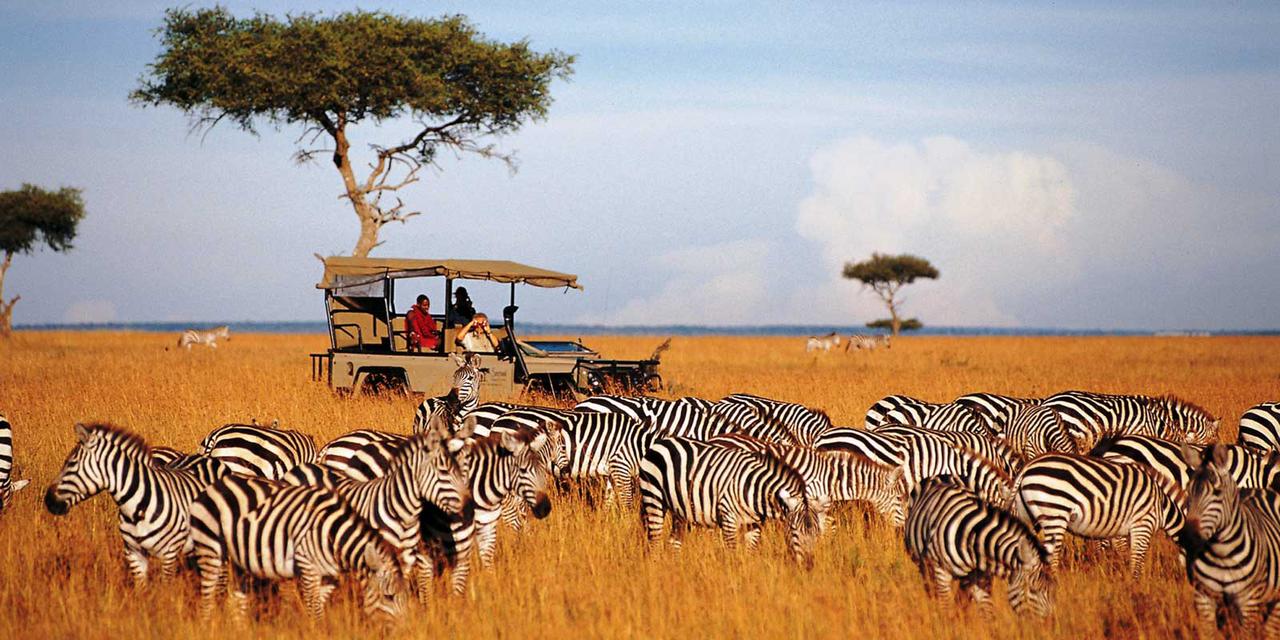 KENYA WILDLIFE SAFARI 4 NIGHTS 5 DAYS